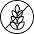 No Gluten